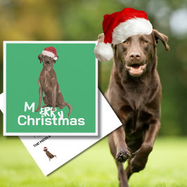 Navidades Brown Labrador Dog Green Merry Grey