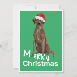 Navidades Brown Labrador Dog Merry Greet Card