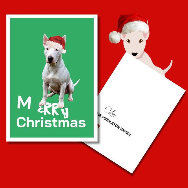 Navidades Bull Terrier Perro Merry Tarjeta de feli (Subido por el creador)