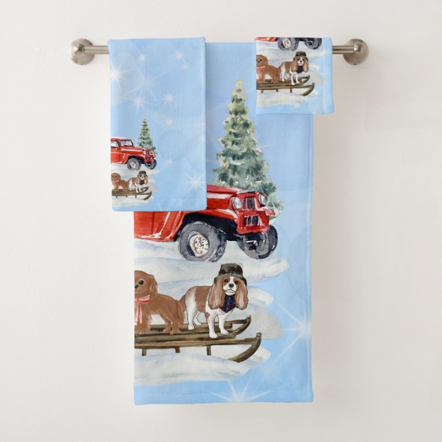 Navidades Cavalier King Charles Spaniels (In situ)