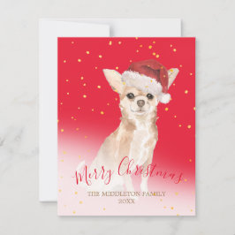 Navidades Chihuahua Dog Gold Saludo Estacional Roj