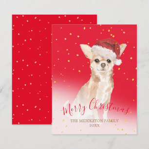 Navidades Chihuahua Dog Gold Saludo Estacional Roj
