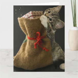 NAVIDADES CUTE CAT SORPRENDE Tarjeta de felicitaci