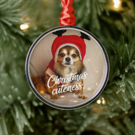 Navidades Cuteness Ornamento de vacaciones Mascota