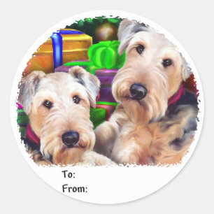 Navidades de Airedale abren ahora etiquetas de reg