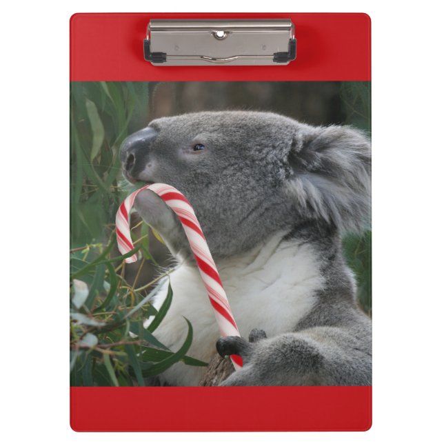 Navidades de Australia Portapapeles de Koala Bear (Anverso)