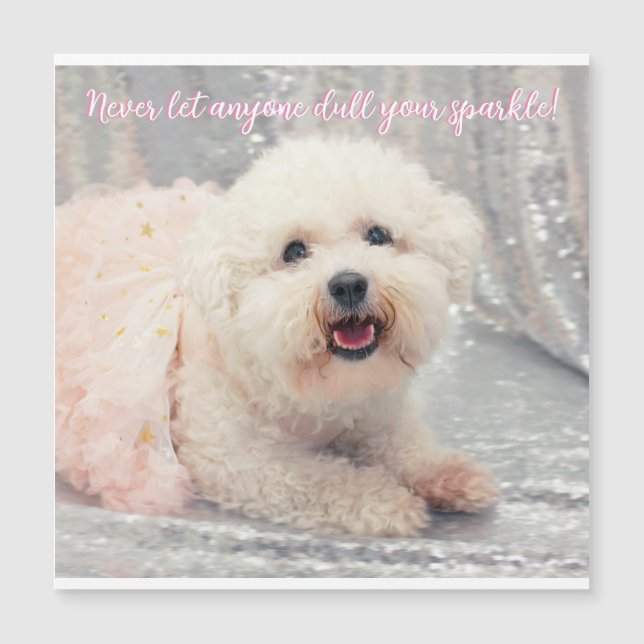 Navidades de Bichon Frise Ballerina Votos Positiva (Anverso)