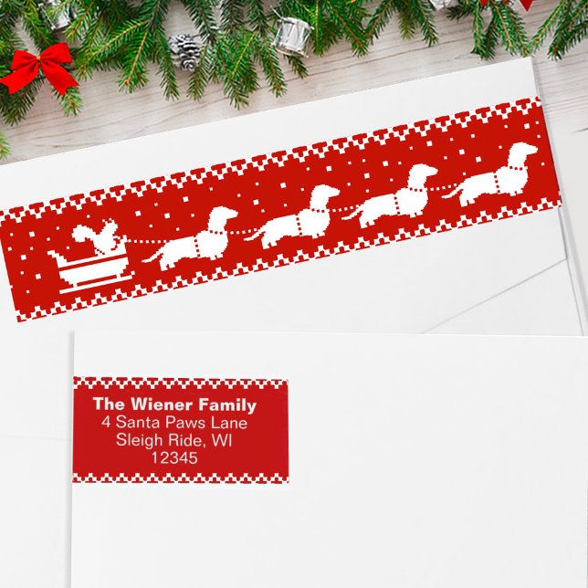 Navidades de Dachshunds disfrutan de vacaciones de (Subido por el creador)