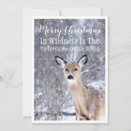 Navidades De Deer In Winter Snow Woodlands Saludan