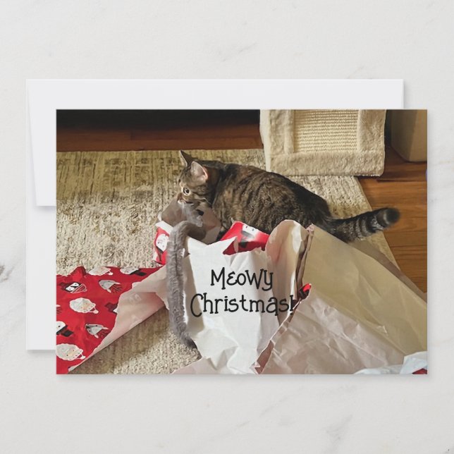Navidades de felinos, disfrutando de las tarjetas  (Anverso)