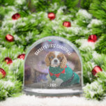 Navidades de fotografía de perro de invierno<br><div class="desc">Foto Globe de la nieve con la foto favorita de tu perro. Personalízalo con su nombre y año. Cambia el texto y lo personalizas como prefieras.</div>