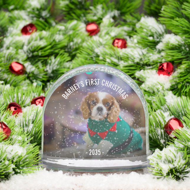 Navidades de fotografía de perro de invierno (Navidad)