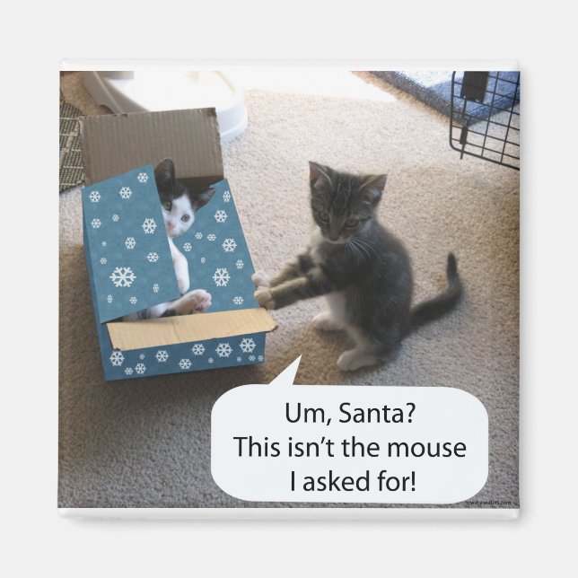 Navidades de gatitos sorprenden a imán (Frente)