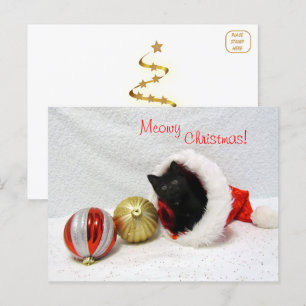 Navidades de Joon - Postales para gatos y gatitos