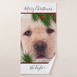 Navidades de laboratorio amarillos - Labrador de p