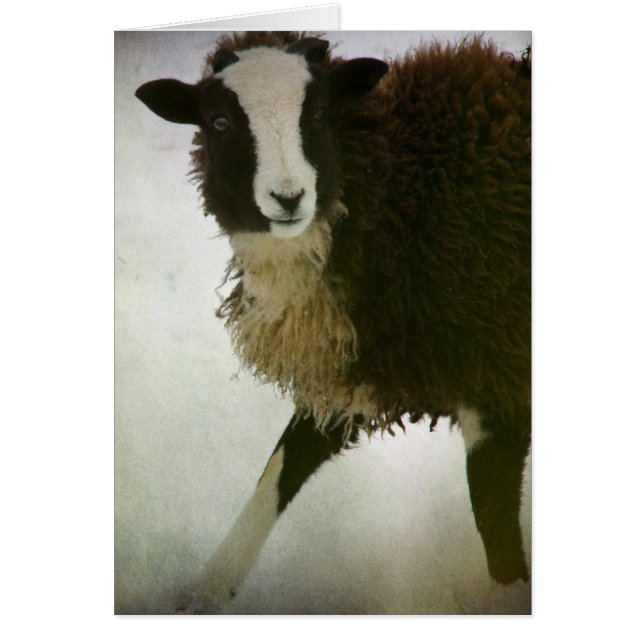 Navidades de Lambchops (Frente)