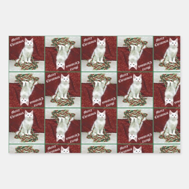Navidades de Maine Coon de Bianca - Papel envuelto (Anverso)