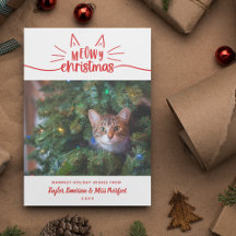 Navidades de Meowy Blancos Rojos - Foto de Navidad