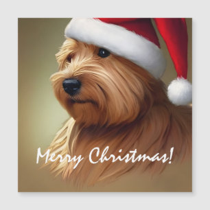 Navidades de Norfolk Terrier