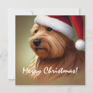 Navidades de Norfolk Terrier