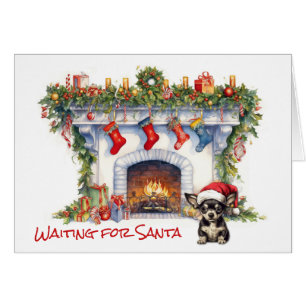 Navidades de perro de Chihuahua esperan a Santa