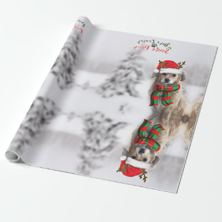 Navidades de perro festivos envolviendo papel