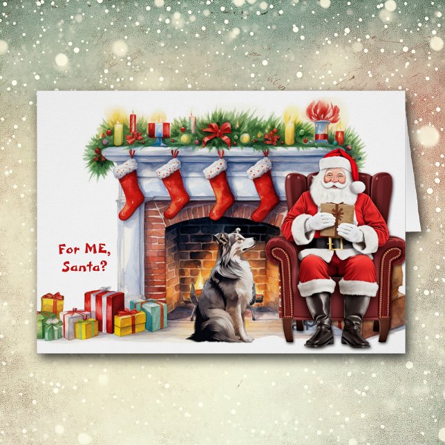 Navidades de perro pastor australiano de regalo de (Subido por el creador)