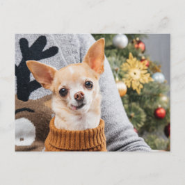Navidades de perros chihuahua con tarjeta postal d