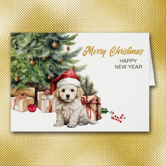 Navidades de perros de porcino de Santa Hat Bichon (Subido por el creador)