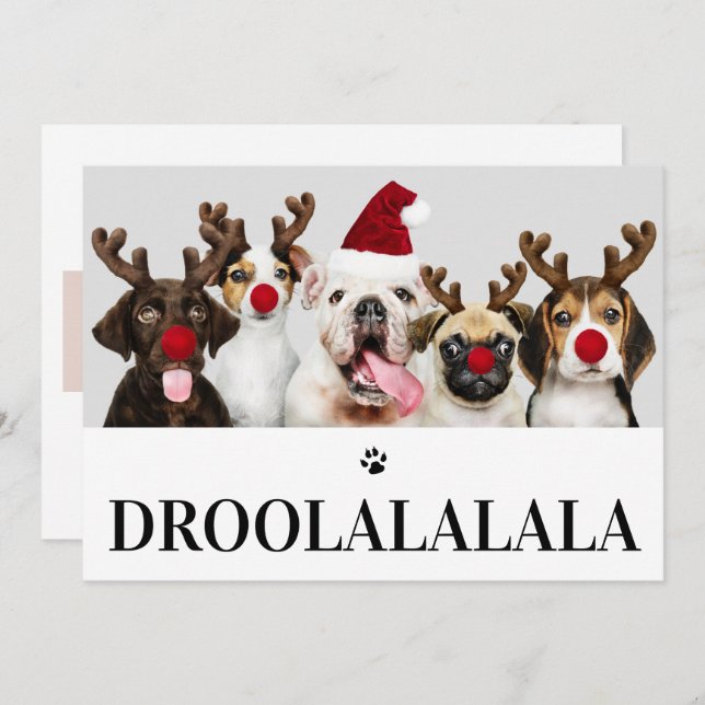 Navidades de perros Droolalala 5 tarjeta de fotos (Anverso / Reverso)