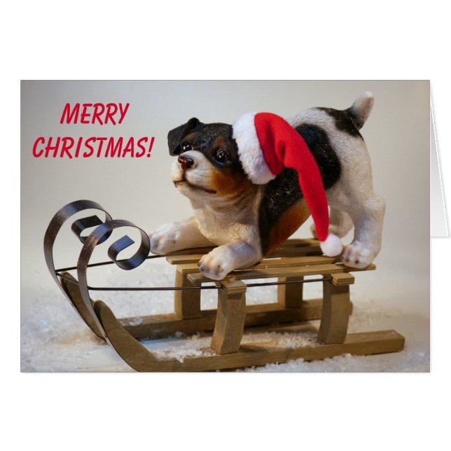 Navidades de perros sin eslora (Anverso (Horizontal))