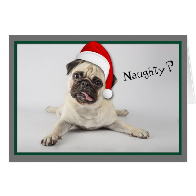 Navidades de perros traviesos de Santa Hat Pug (Anverso (Horizontal))