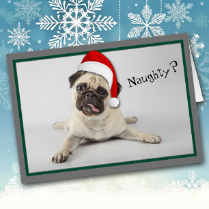 Navidades de perros traviesos de Santa Hat Pug