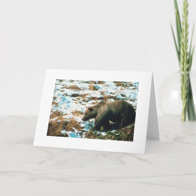 Navidades de personalizable tarjeta de oso grizzly (Anverso)