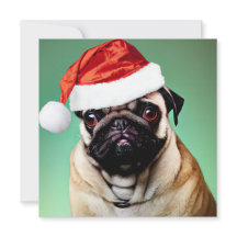 Navidades de pug Dog