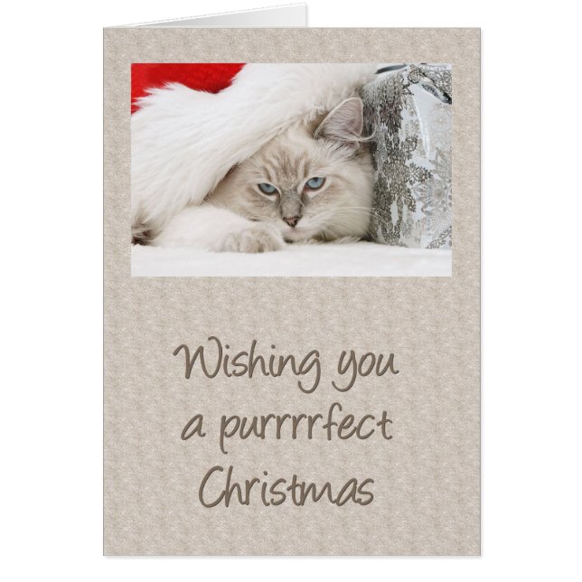 Navidades de Purrfect Kitty (Frente)