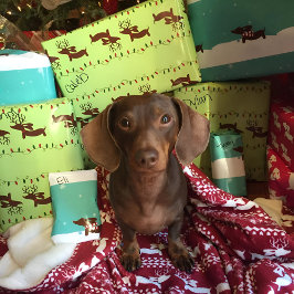 Navidades de reno de Dachshund regalan papel de en