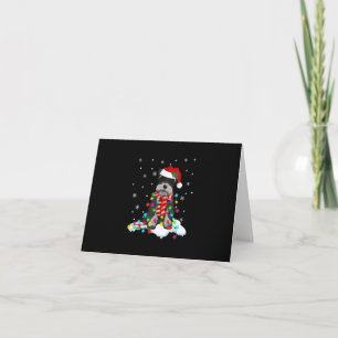 navidades de schnauzer lindos luces con regalador 