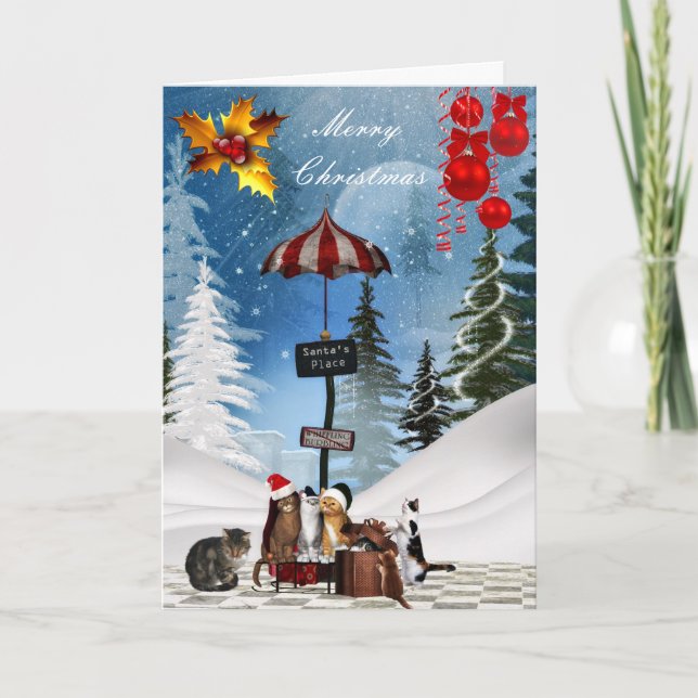 Navidades de tarjetas Navidad Gorra de gatos Nieve (Anverso)