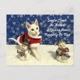 Navidades de Yuki - postal de Navidades gatos/gati