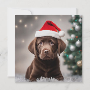 Navidades del chocolate Labrador