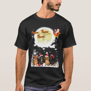 Navidades divertidos de Dachshund - camiseta de pe