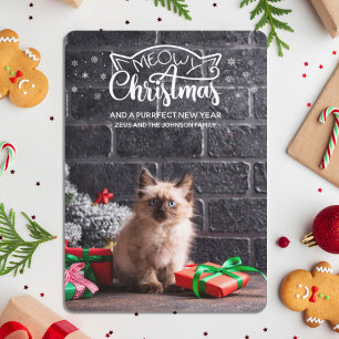 Navidades divertidos maullidos buscan la tarjeta d