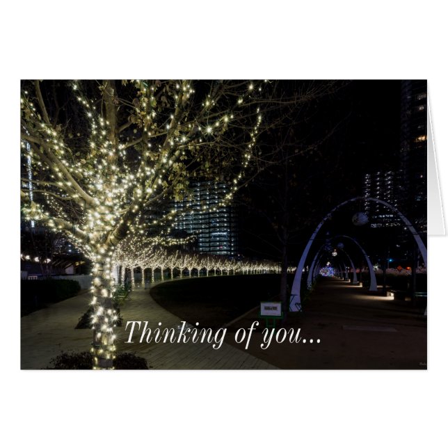 Navidades En El Parque Klyde Warren Pensando En La (Anverso (Horizontal))