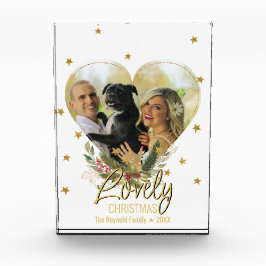 Navidades encantadores foto de las estrellas del P