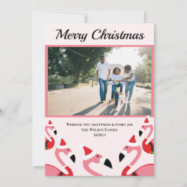 Navidades Flamingo Santa Photo Rosa