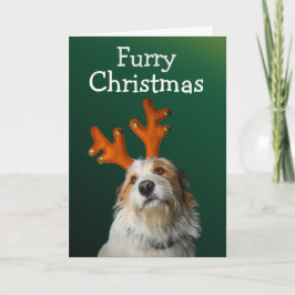 Navidades furtivos de la tarjeta de perro