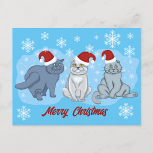 Navidades gatos Feliz Navidad