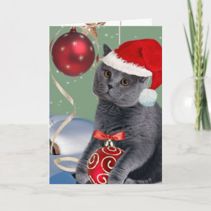 Navidades Gatos Gris Juegan Tarjetas