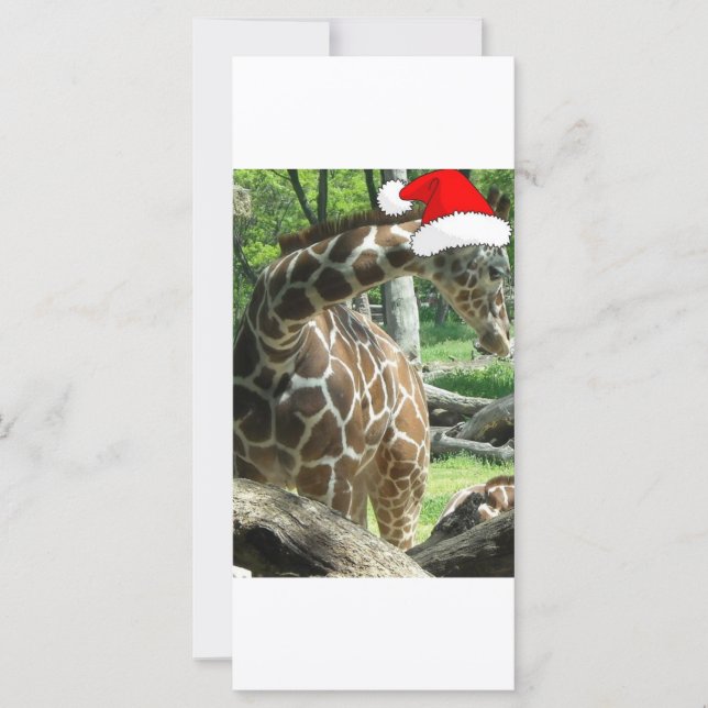 Navidades Giraffe (Anverso)